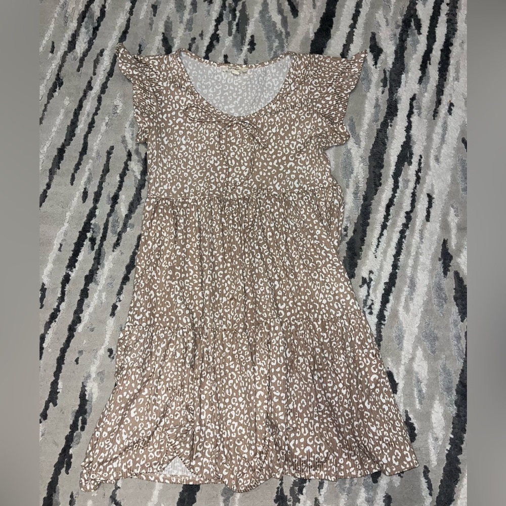 Francesca’s Dress
